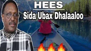 HEES | Sida ubax dhalaaloo | Cabdi Xasan Dige |▪︎Original | Lyrics