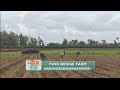 Hawaii Grown – Hawaii Made: Twin Bridge Farm