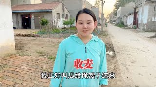 河南开始大面积收割，我们一起帮表哥收麦子，丰收的季节喜气洋洋