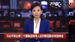 [中国新闻] 习近平将出席二十国集团领导人应对新冠肺炎特别峰会 | 新冠肺炎疫情报道