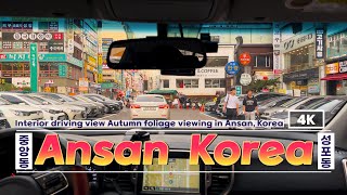 [Driving trip] 4K 2024 Korea Autumn Foliage Street View. Commercial Area View #korean #driving #韓国