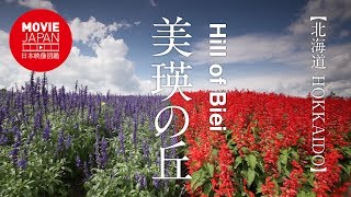 北海道　美瑛の丘 4K Hill of Biei