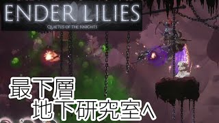 #18【ENDER LILIES: Quietus of the Knights】少女と騎士の美しく切ない冒険　名作メトロイドヴァニア　エンダーリリーズ　Switch