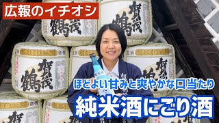 賀茂鶴 季節限定 純米酒にごり酒