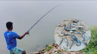 বরশি দিয়ে চিংড়ি মাছ শিকার | নদীর তীরে চিংড়ি মাছ ধরা  |#Nadia_Fishing