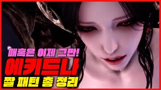 [카제로스 레이드] 에키드나 짤 패턴 정리