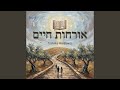 Orchos Chaim (feat. Moshe Mendlowitz)
