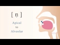 [ n̥ ]  unvoiced apical alveolar nasal stop