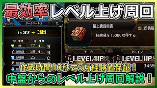 【ユニコーンオーバーロード】中盤から可能！1戦10秒5万経験値の最強レベル上げの紹介です！