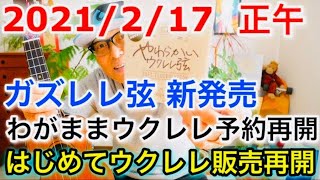 【2021/2/17 正午】ガズのわがまま・はじめてウクレレ予約＆販売再開『ガズレレ弦』新発売！ #GAZZLEL