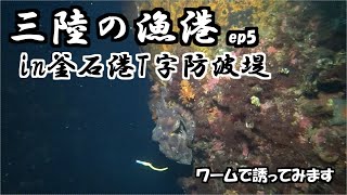 【水中映像】三陸の漁港　in釜石港T字防波堤　三陸つりしとがんせ　vol 44