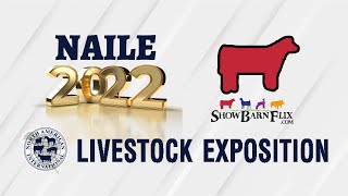 Open Charolais Show - NAILE 2022!