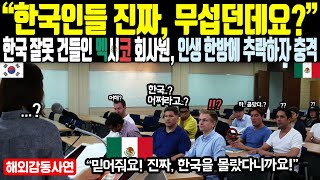 《해외감동사연》 "한국인들 진짜, 무섭던데요?" 한국 잘못 건들인 멕시코 회사원 인생 한방에 추락하자 충격