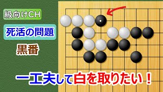 【囲碁問題】級向け・実戦死活の問題（懐の一子が大活躍）