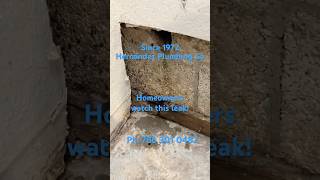 Hidden Leak Causes Major Water Damage Miami Leak Detection