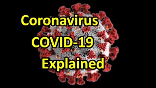 COVID 19 Coronavirus Explained (Symptoms, Facts, Quarantine Precautions, Numbers, Links)
