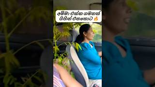 අම්මත් එක්ක නැදැගෙදර ගිහින් එනකොට වාහනේ #vehicles #motivation #car