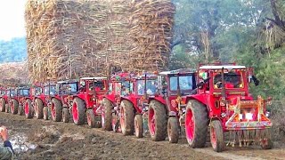 Most Badly Mud stuck trailer Belarus Tractors pulled out- Extremely Powerful Tractors