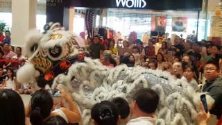 CNY2017 Acrobatic Lion Dance by Kun Seng Keng關聖宮龍獅團// Bangsar Village 5/2/2017