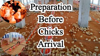 Things You Must Prepare before Your Chicks arrive | Dr. ARSHAD