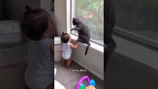 Cats can understand English well#cat #funny #cats #for #foryou #fyp #foryoupage #funnyvideo #cute