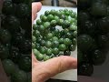 nephrite jade 7