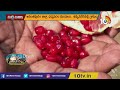 కరువు సీమలో.. దానిమ్మ సిరులు pomegranate farming agriculture matti manishi 10tv news