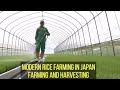 farming and harvesting rice with modern technology in japan | Nature Channel