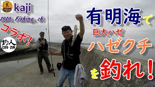 有明海で巨大ハゼ、ハゼクチを釣れ！ 1919，Fishing，chコラボ