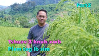 Tsuav 3 hnub xwb plam tag ib sim part2 9/28/2023