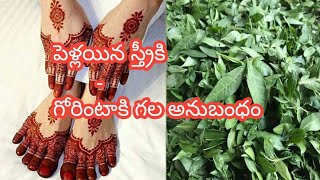 పెళ్లయిన స్త్రీ గోరింటాకు పెట్టుకోవడానికి గల కారణం ! The reason for a married woman wearing gourd !