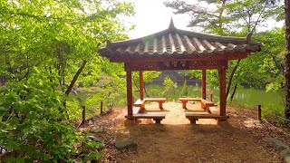 Sahmyook University Forest Walk | Walking on the Jemyeong Lake | Healing walk | Walking in Seoul