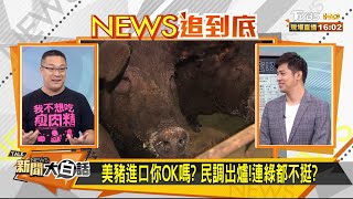 美豬進口你OK嗎? 民調出爐!連綠都不挺? 新聞大白話 20200831