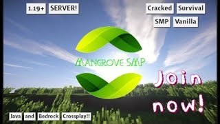 New Public Minecraft SMP (free to join!) // Cracked, Bedrock and java