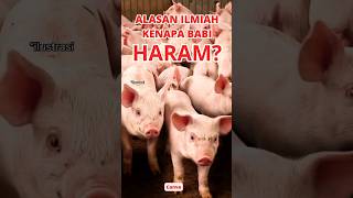 Ternyata DNA Babi Mirip Manusia! 7 Alasan Ilmiah Kenapa Babi Haram Dalam Islam!! #islam #haram #babi