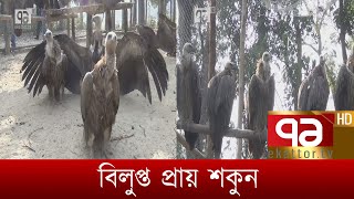 শকুন উদ্ধার ও পরিচর্যা কেন্দ্র | News | Ekattor TV