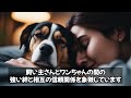 犬の寝ている位置でわかる飼い主への気持ち