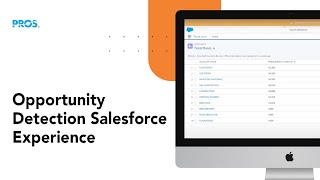 Opportunity Detection Salesforce Experience