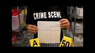 FD-258 Fingerprint / Applicant Card