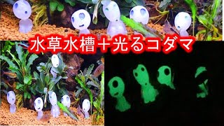 アクアリウム　水草水槽＋ジブリ　光るこだま