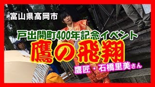 【散策物語】 戸出開町400年記念イベント「鷹の飛翔」　～富山県高岡市～