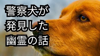 【怪奇現象】捜索中に警察犬が発見した幽霊の謎　【怪談朗読】　@PoliceHorrorStoriesChannel