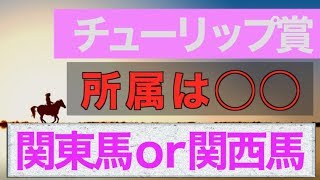 【2020チューリップ賞】関東馬or関西馬、、、所属によって圧倒的な差あり！！