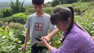 平常容姐天没亮就去市场卖菜，今天和儿子一起下午去菜市场卖菜。