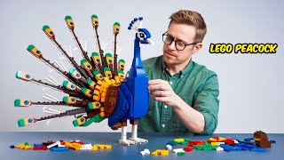 I built a Peacock in LEGO...