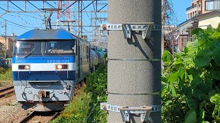 【小田栄駅を通過する貨物列車】JR貨物 EF210-124号機+タキ17B 新A231仕業[5582レ] 川崎貨物行 小田栄駅通過！[2023.10.16(月)]