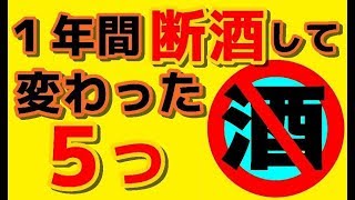 【禁酒・断酒】 一年間断酒して変わったこと５つ