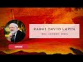 the art of peace midrash on parashat pinchas by rabbi lapin