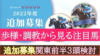 【一口馬主】シルク追加募集馬（関東前半３頭分）「馬体・歩様・調教動から見た申込理由を説明」