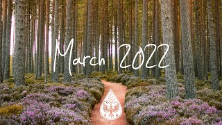 Indie/Pop/Folk Compilation - March 2022 (2-Hour Playlist)